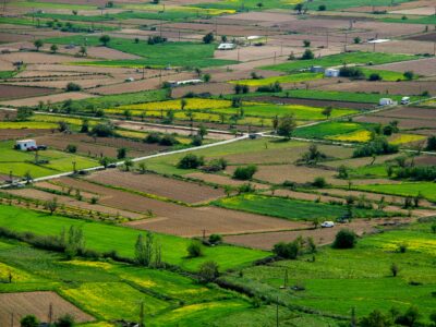 Land