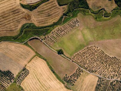 Land