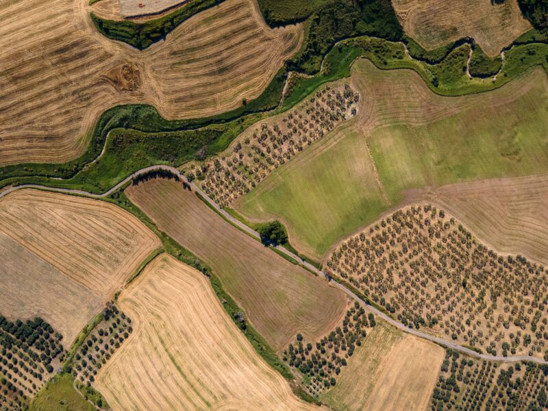 Land